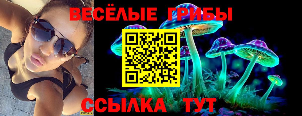 Галлюциногенные грибы MAGIC MUSHROOMS Сыктывкар