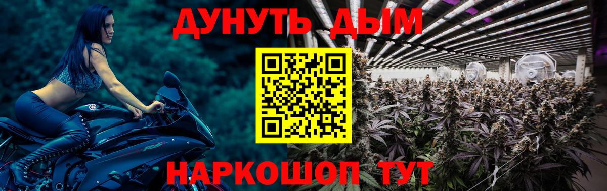 Бошки марихуана семена  Вход с VPN  Конопля MAZAR  Бошки марихуана семена  Сыктывкар 